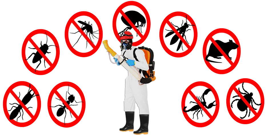 Controle de Pragas para Escritório